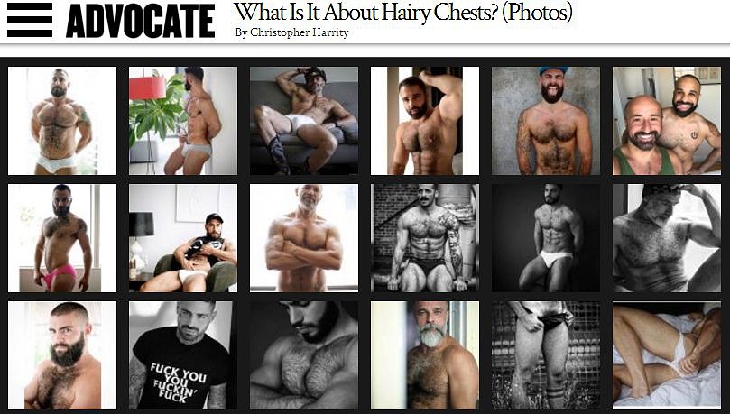 Advocate Hairy Chests.JPG
